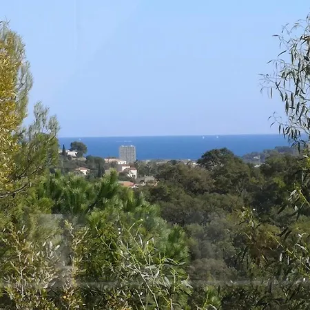 Studio Entre Et Lavandou